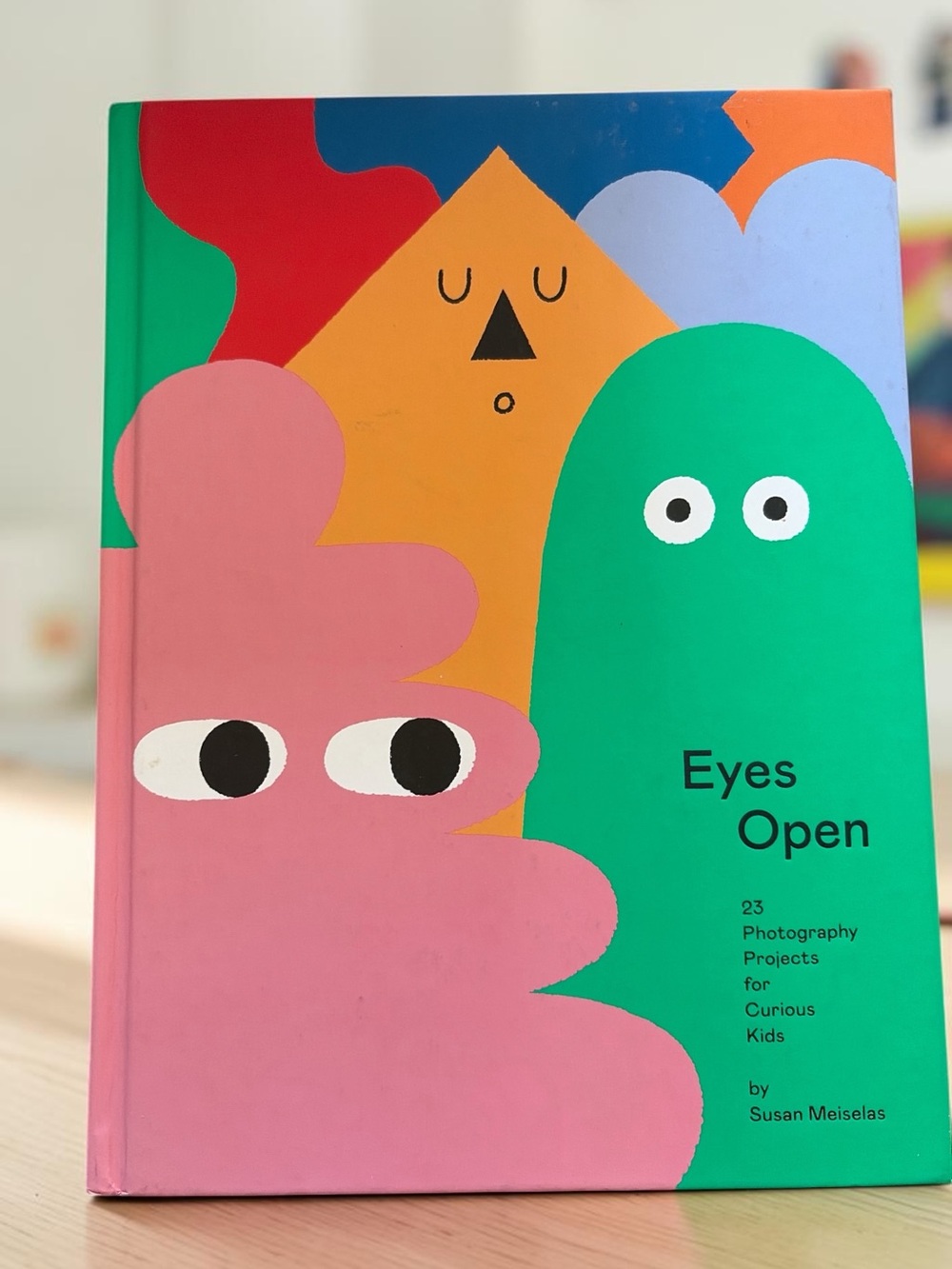 Colorful Illustrated Hardcover Book - Pink & Green Cover